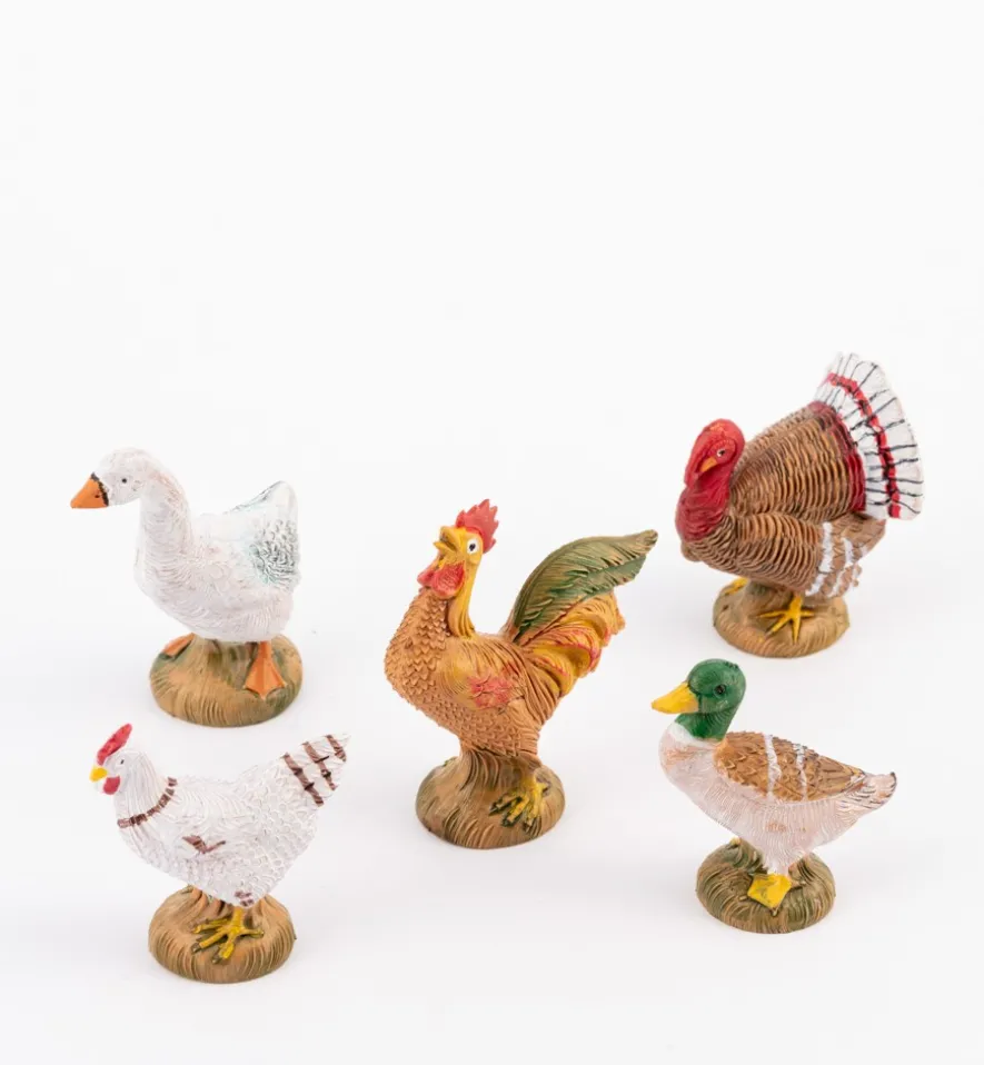 Galline e gallinacei per presepe 19 cm